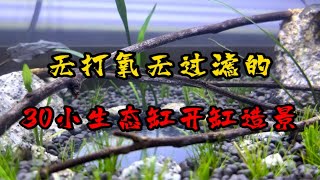 无打氧无过滤的30小生态鱼缸开缸造景，这个小水池还是挺有灵.