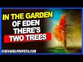 In the garden of Eden, there's two trees