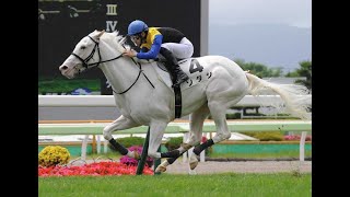 2020年7月12日　２歳新馬　競走馬　JRA　白毛　吉田隼人騎手　クロフネ産駒