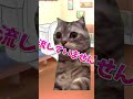 ちょっと誰トイレ流してないの！ 猫ミーム 猫 ねこ