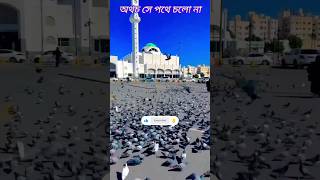 তুমি মুক্তির আশা করো অথচ সে পথে চলো না#islamicshorts #islamicvideo #islam