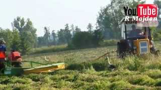 Sianokosy 2014 ㋡Ursus_Zetor_MF_John Deere