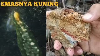 seperti ini batu Yg mengandung emas kuning di lokasi baru tambang emas