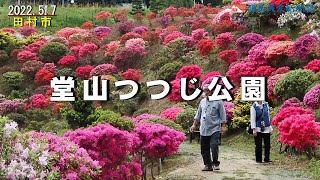 ［ふくしま花だより2022］堂山つつじ公園