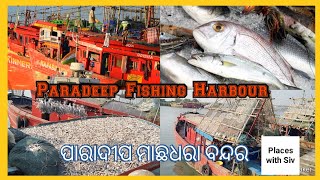 Fishing Harbour (ପାରାଦୀପ ମାଛଧରା ବନ୍ଦର)