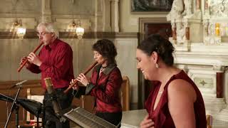 Concert: Salsa baroque - Baroque Salsa