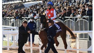 【朝日杯FS】武豊アルテヴェローチェは5着　2歳女王と1字違いの2歳王者誕生ならず. sk  king news