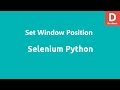 Selenium Python Set Window Position