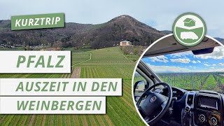 Im Camper in die Pfalz - Auszeit in den Weinbergen