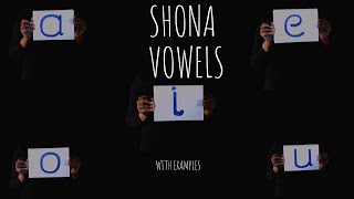 Vowels and Consonants aeiou | Learning Shona with Sarura Kids