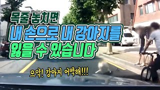 5861회. 직진 중 우측 인도에서 개 목줄을 놓쳐 강아지가 뛰어나와 사고