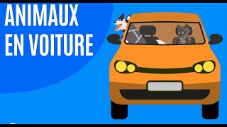 Comment transporter les animaux en voiture en sécurité ?