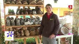 Hortensias, aromáticas y cactus. Tu Jardín a punto con Viveros Prado