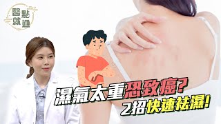 濕氣太重恐致癌？2招快速袪濕！Dampness Causes Cancer? 2 Quick Fixe ｜【#醫點就通】EP14｜#緯來育樂台｜#海芬 ft.#陳姿秀 #張煒｜2024.12.25A1