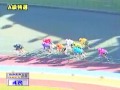 2014年11月10日 第8回立川市営（前節）スポーツニッポン杯（f1）4r