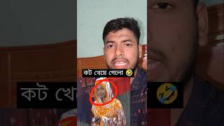 কট খাওয়ার পরে যা হলো 🤣 #reels #comedy #shorts #trending #funny