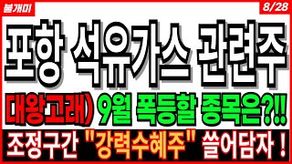 포항 석유가스 관련주 - 대왕고래) 9월 폭등할 종목은?!! 대왕고래 관련주 한국가스공사 GS글로벌 화성밸브 한선엔지니어링 포스코인터내셔널 넥스틸  주가 주가전망 목표가 불개미