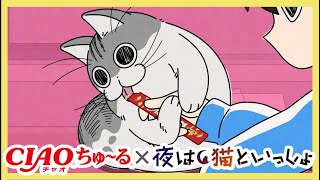 アニメ『夜は猫といっしょ』×CIAOちゅ～る【コラボCM公開!!】