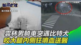 雲林男騎車突遇比特犬猛追　咬大腿內側狂噴血送醫｜三立新聞網SETN.com