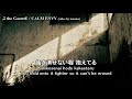 the GazettE / CALM ENVY [JP/ROM/ENG lyrics]