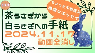 茶うさぎから白うさぎへの手紙 2024「322. 動画全消し」