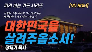 (따라하는 기도시리즈) 244 대한민국을 살리는 기도, 나라와 민족을 위한 기도, 계엄령, 대통령 / 장재기 목사 NO BGM