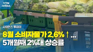 8월 소비자물가 2.6%↑...5개월째 2%대 상승률 / YTN 사이언스