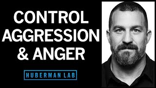 Understanding & Controlling Aggression | Huberman Lab Podcast #71