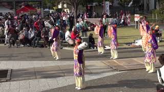 伊勢よさこい連 清流（四日市よさこい祭り2018）諏訪公園メイン会場