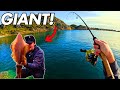 SOUTHERN CALAMARI CATCH & COOK!! Squid fishing Tasmania