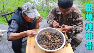 妈妈开始种包谷苗，冬宝搞一盆田螺，和新鲜排骨炖一锅，嗦过瘾了