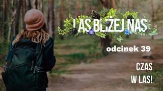 Las bliżej nas - Czas w las! [odc. 39]