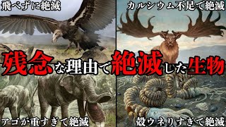 【ゆっくり解説】残念な理由で絶滅してしまった古代生物6選