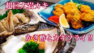 【夏が旬】見たこともない超巨大岩カキ‼濃厚で美味すぎた。