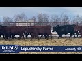 dlms direct lopushinsky farms