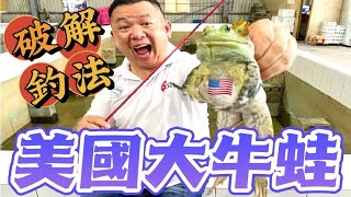 中部有口福了!!破解如何釣大牛蛙!達人說出重要秘密關鍵!!