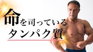 筋肉をつけるだけじゃない！山本義徳氏が語るタンパク質の真実