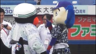 2019/8/18つば九郎のヘルメットが気になるドアラさんww