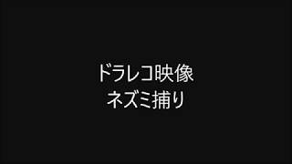 ドラレコ映像　スピード違反取り締まり