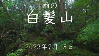 【登山】【自然散策】雨の白髪山　2023年7月15日（高知県）【登山　高知】【登山　四国】