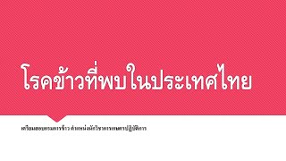 เตรียมสอบกรมการข้าว | นักวิชาการเกษตรปฏิบัติการ | โรคข้าวที่พบในประเทศไทย ep.3