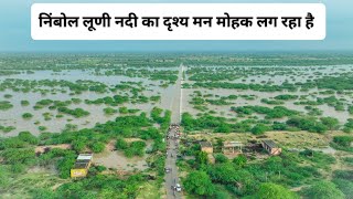 लूणी नदी निंबोल में। रपट से 4 फिट ऊपर बह रही  30 साल बाद इतने उफान पर   #लूणी  #नदी #lunime #luni