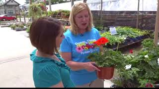 A florist and greenhouse in St. Charles with 90 years experience