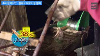 [KBS뉴스춘천] 휴가철이지만…올해도 대표어종 흉어