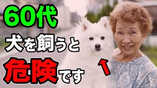 【準備無しは危険】老後に安心して犬と暮らす方法【獣医師くぅの犬ニュース】