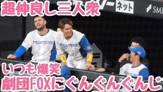 【超仲良し】劇団FOX,ぐんぐん郡司,アリエル,試合前のめちゃくちゃ楽しそうな3人組‼︎ファイターズベンチカメラエスコンフィールド北海道