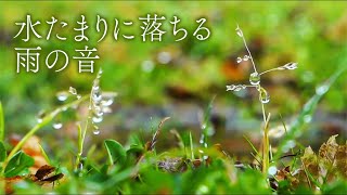 水たまりに落ちる雨の音3時間【安眠用BGM】