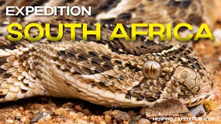 Reptiles & Amphibians of SOUTH AFRICA (Herping Expedition 2022)