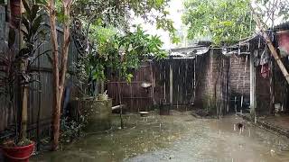 অঝোরে বৃষ্টি/Rainfall #বৃষ্টি