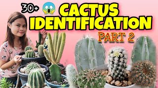 CACTUS IDENTIFICATION PART 2||CACTI NAMES WITH PICTURES || RYXYZA